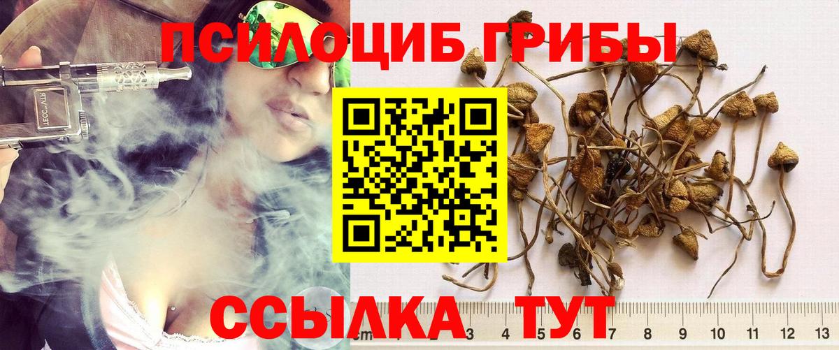 Тверь  Галлюциногенные грибы MAGIC MUSHROOMS  Вход с VPN 